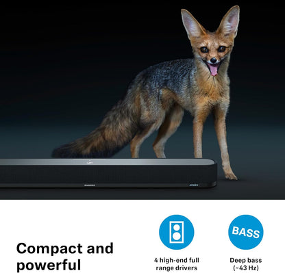 Sennheiser Consumer Audio Sennheiser Ambeo Soundbar Mini, 700138