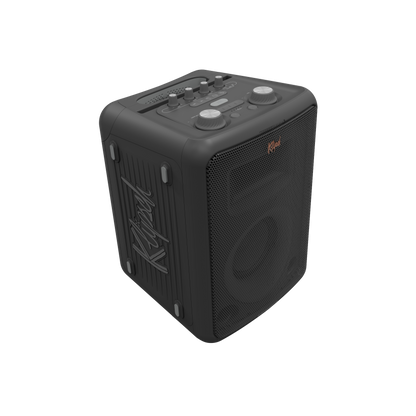 Klipsch Vegas Party Speaker Pole Mount Setup