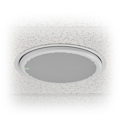 Shure MXA901W-R